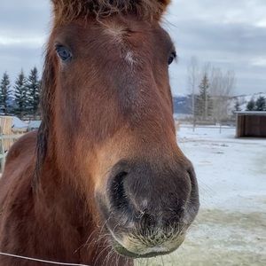 Meet your Posher, Melissa